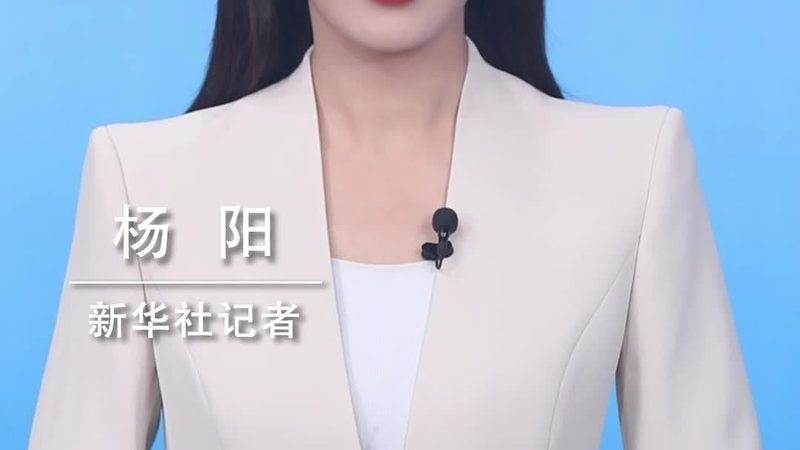 数据中台性能优化与调优：本质区别与实施要点